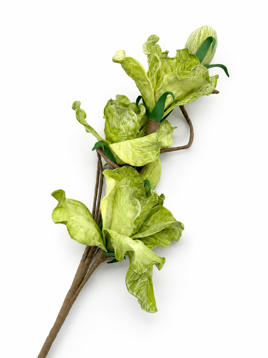 CVET - decoration