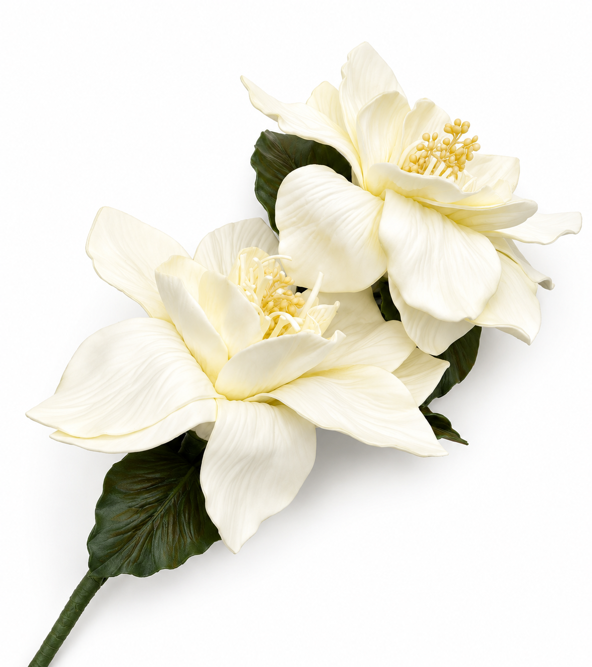 CVET - decoration