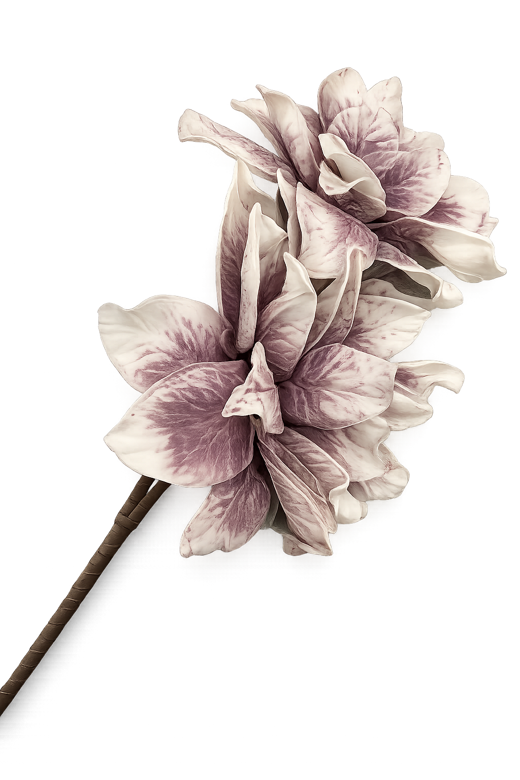 CVET - decoration