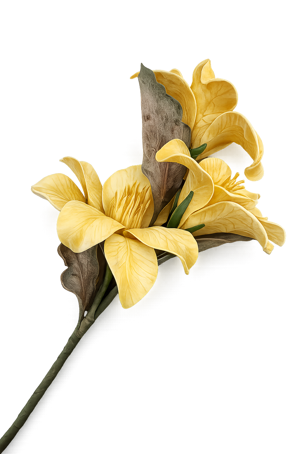CVET - decoration