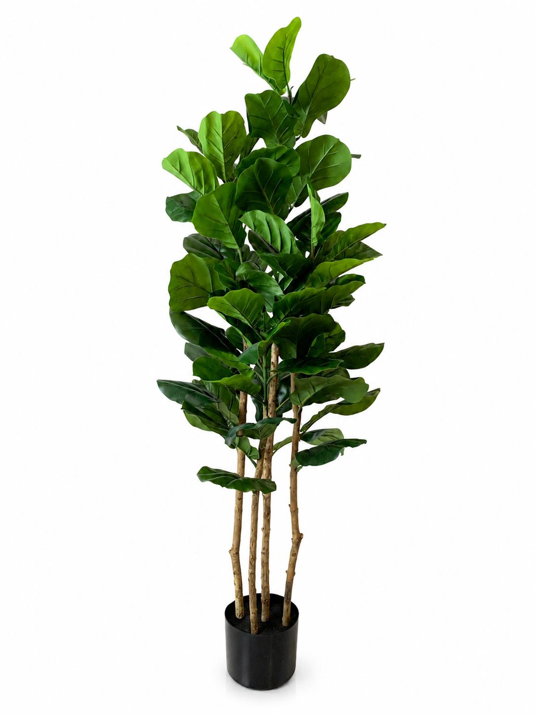 DEKORACIJA FIDDLE TREE 150CM