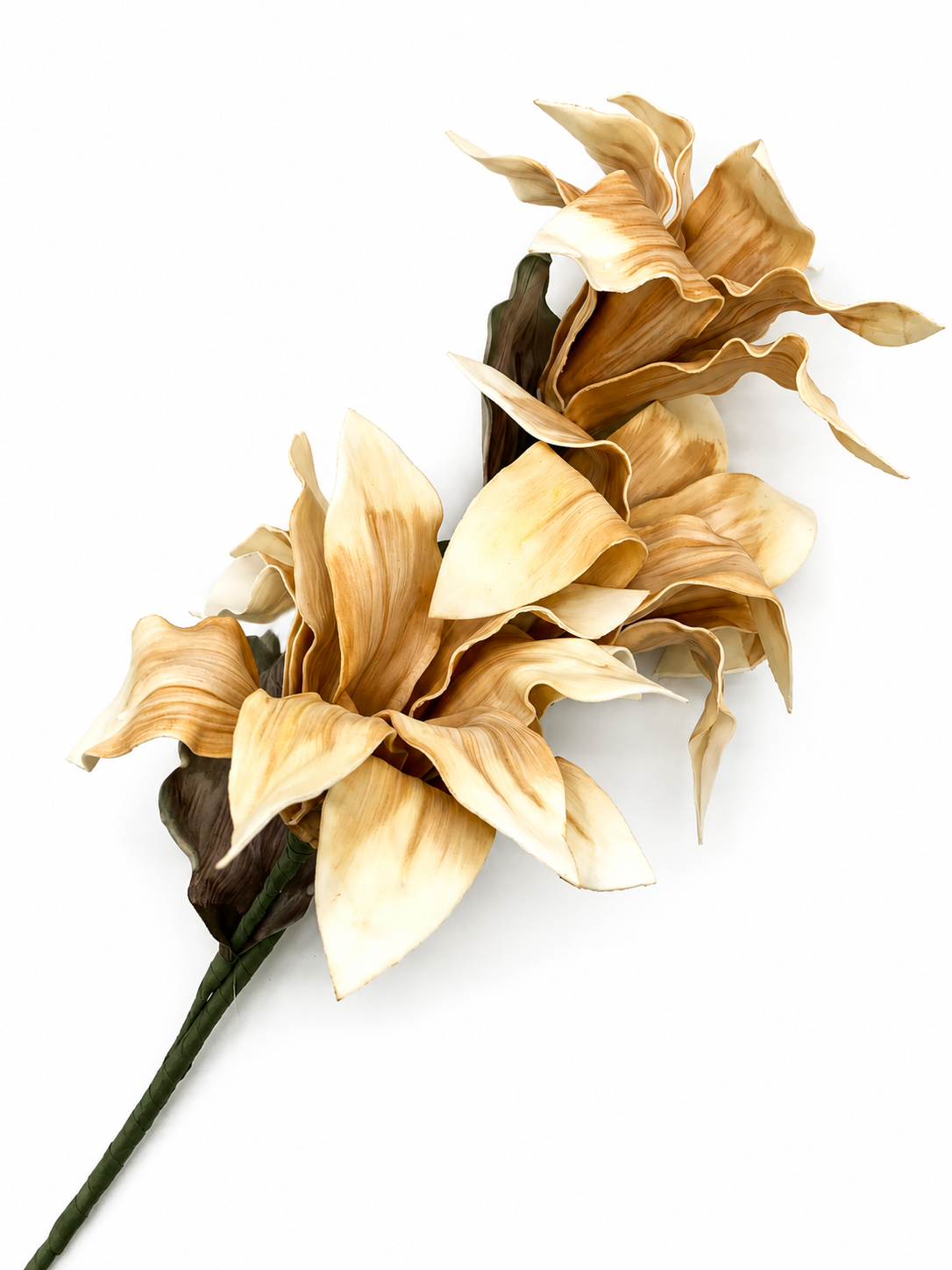 CVET - decoration