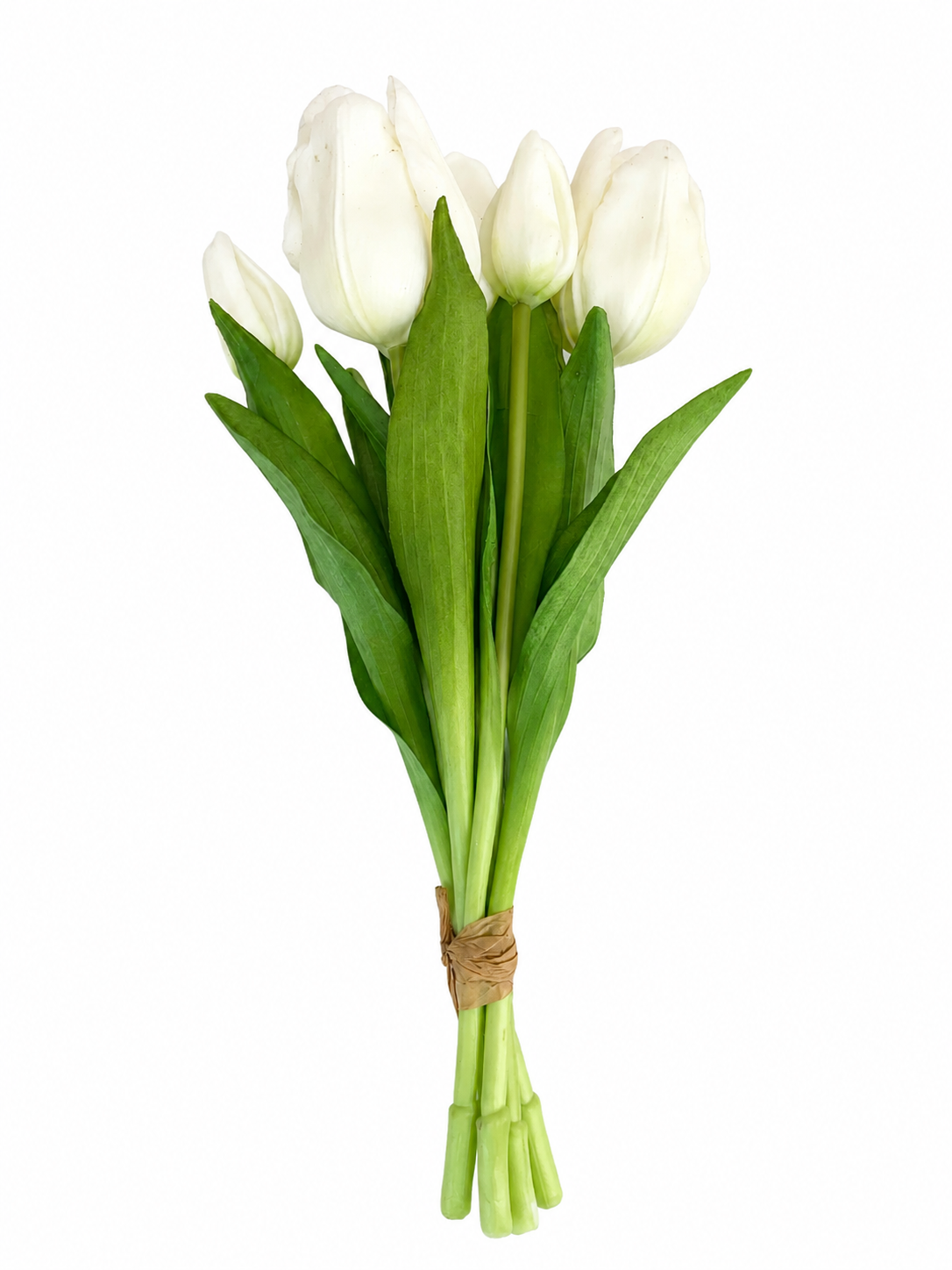 CVET - DECORATION