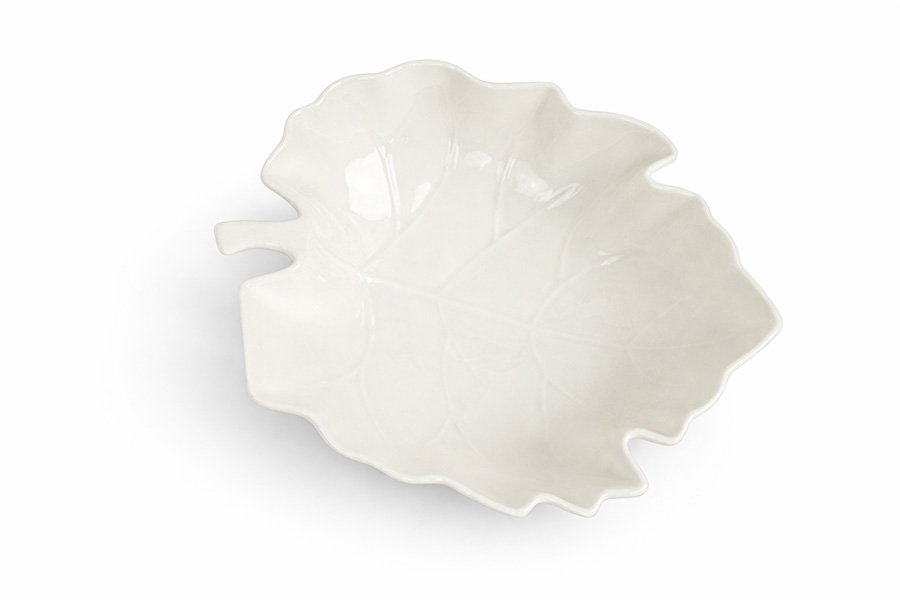 ČINIJA LEAF