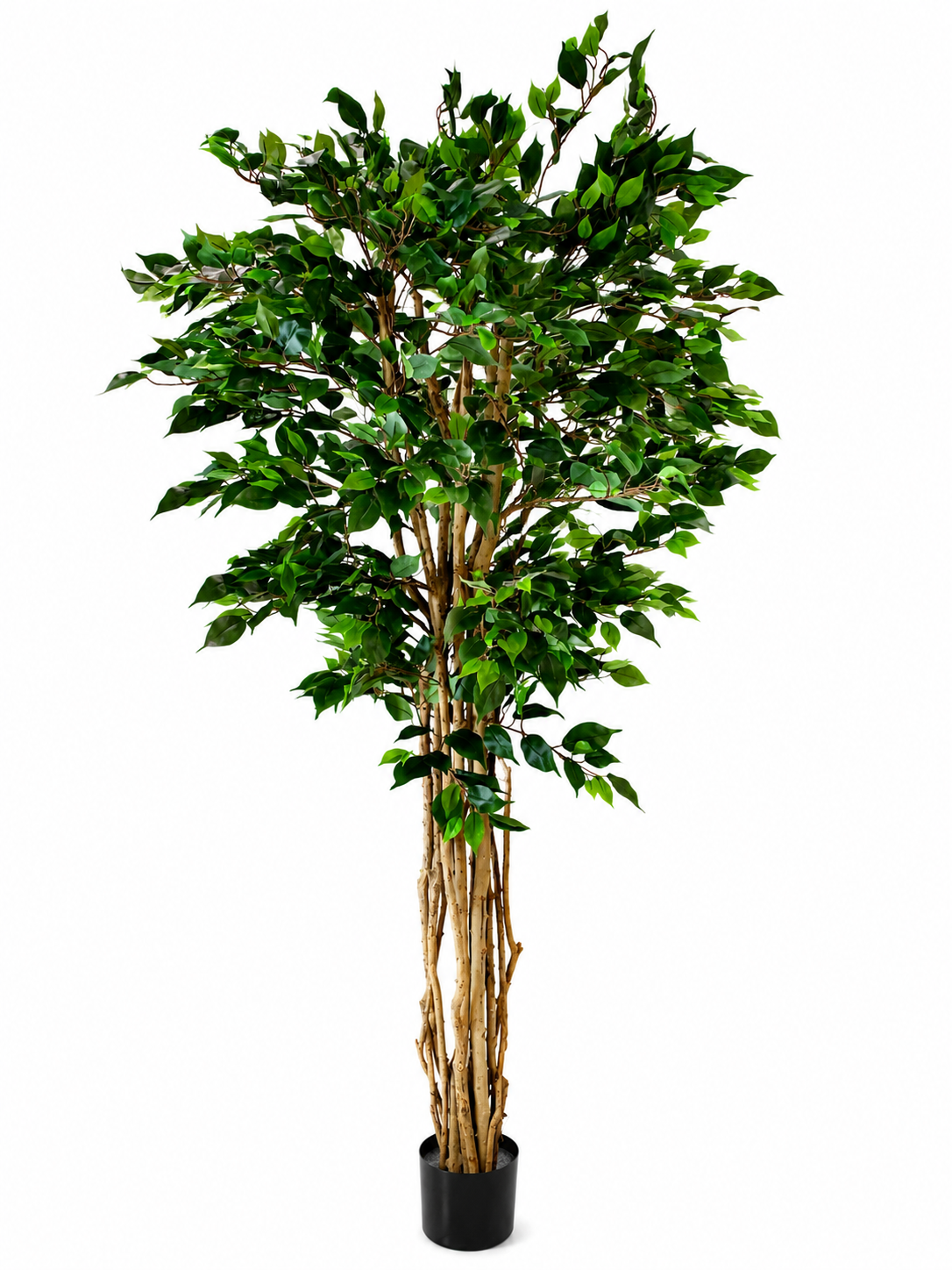 DEKORACIJA FICUS TREE 220CM