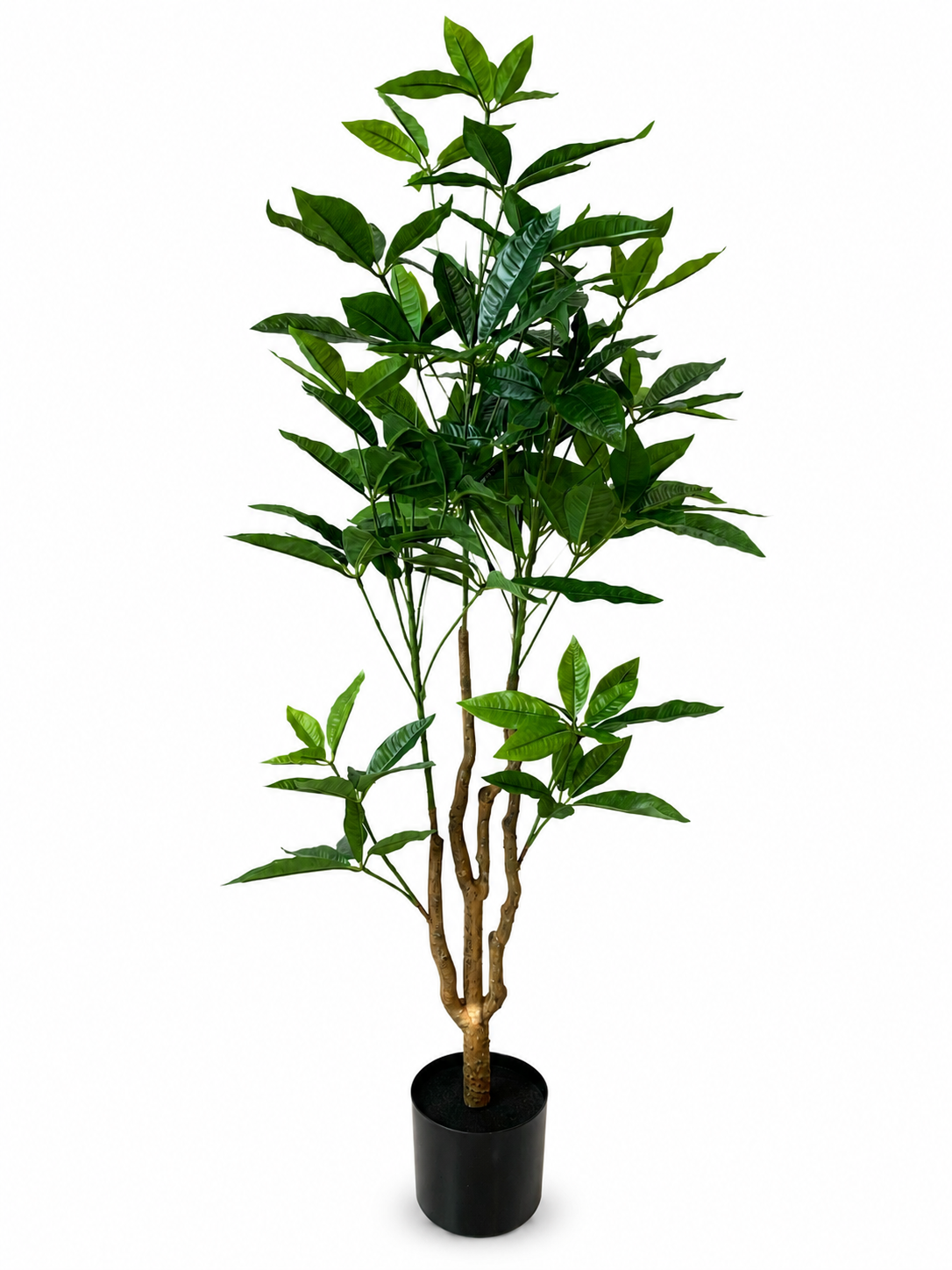 DEKORACIJA PACHIRA TREE 120CM