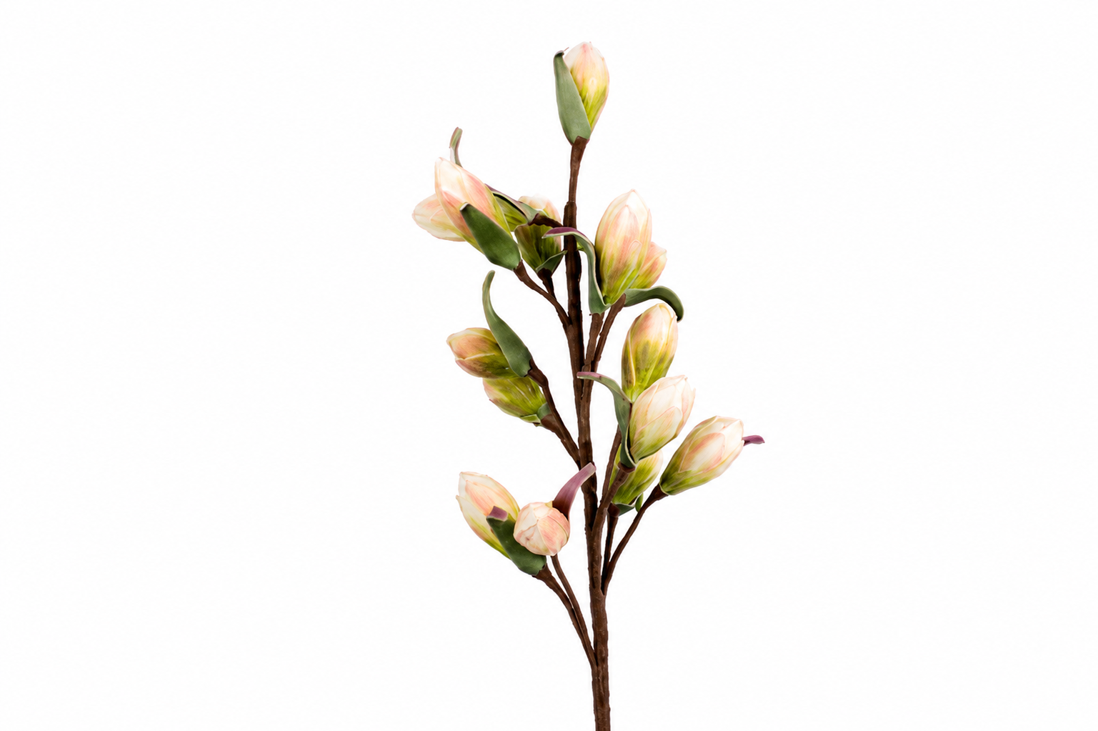 CVET - DECORATION 115cm